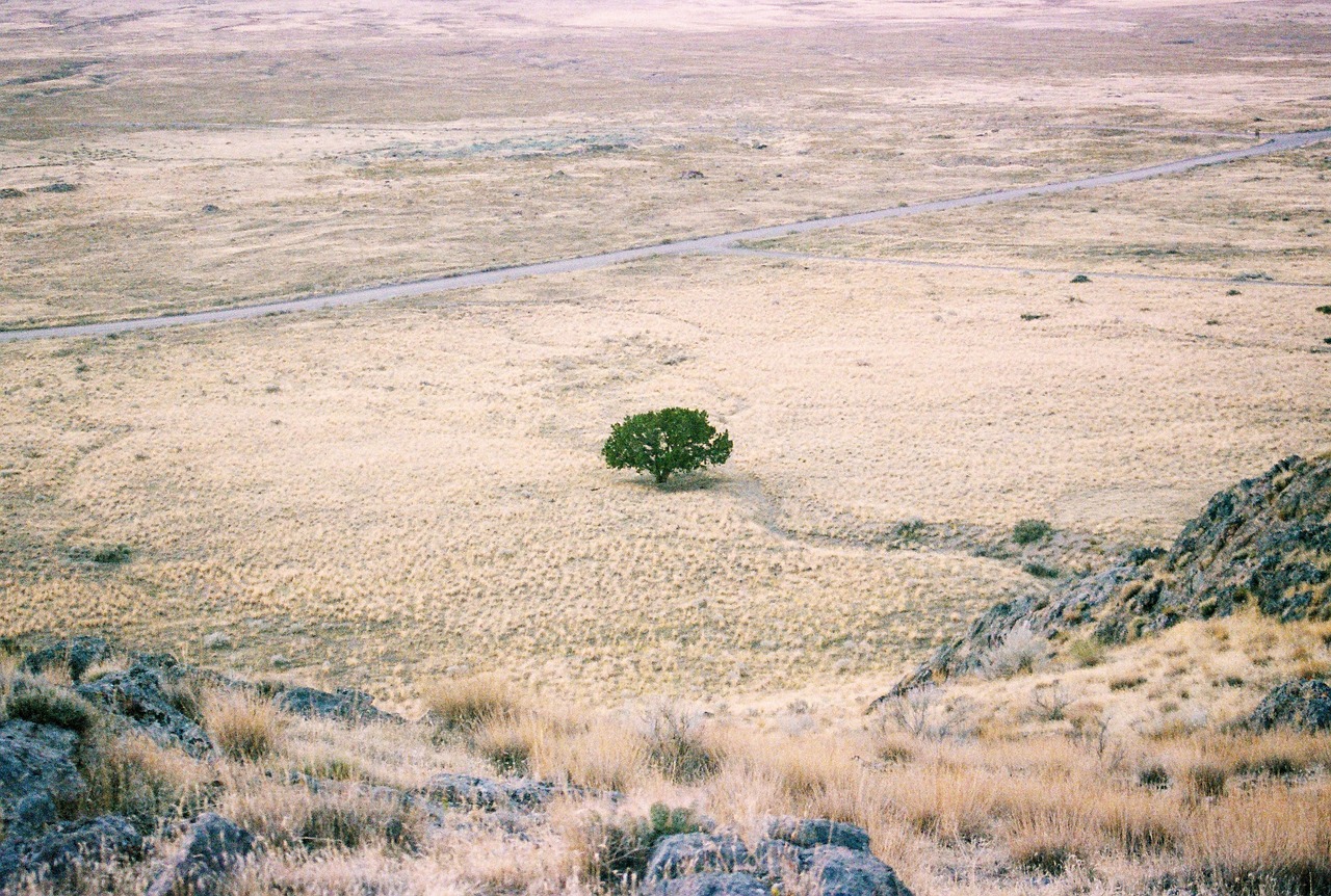 Olson, B. (2020). Desierto, Tierra Árida, Paisaje, Sequía [Photograph]. Pixabay.