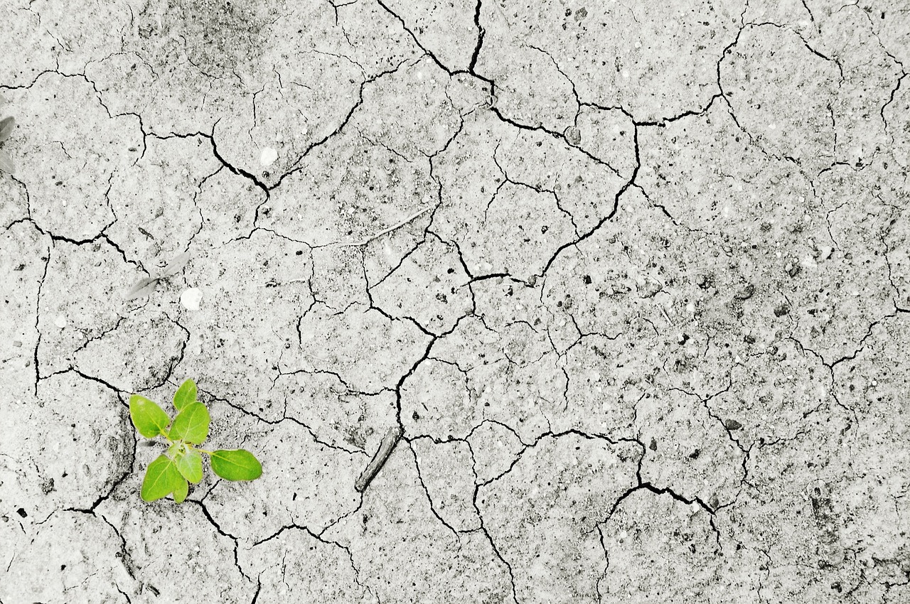 Deutsch, A. (2016). Cambio Climático, Clima, Sequía [Photography]. Pixabay.